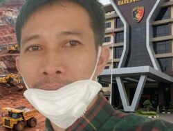DPD GSPI Sultra Dukung Langkah Bareskrim Polri Tetapkan Tersangka Kasus Tambang Nikel Ilegal