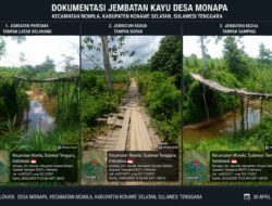 Jembatan Penghubung Persawahan Paramowila di Desa Monapa Rusak Parah, Aktivitas Petani Terancam