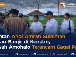 Mentan Andi Amran Sulaiman Tinjau Banjir di Kendari, Sawah Amohalo Terancam Gagal Panen