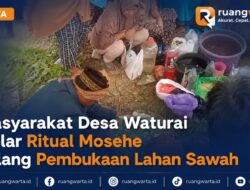 Masyarakat Desa Waturai Gelar Ritual Mosehe Jelang Pembukaan Lahan Sawah